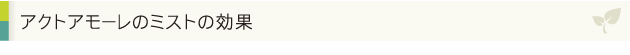 アクトアモーレのミストの効果